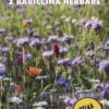 Křížovky - Z babiččina herbáře - Image 2