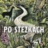 Po stezkách - Image 2