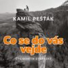 Co se do vás vejde - CDmp3 (Čte Martin Stránský) - Image 2