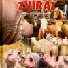 Farma zvířat - Světová četba pro školáky - Image 2