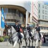 Starokladrubští koně ve službách jízdní policie - Image 2