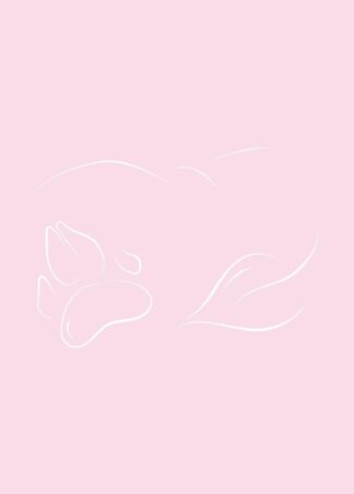 Meditační deníček