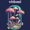 Jak se mění vědomí - Co nás moderní věda o psychedelikách učí o vědomí, umírání, závislosti, depresi a transcendenci - Image 2