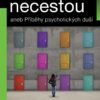 Cestou necestou aneb Příběhy psychotických duší - Image 2
