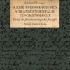 Krize evropských věd a transcendentální fenomenologie - Image 2
