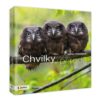Chvilky v přírodě - Image 2