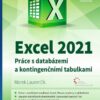 Excel 2021 - Práce s databázemi a kontingenčními tabulkami - Image 2