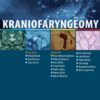 Kraniofaryngeomy - Image 2