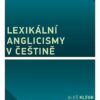 Lexikální anglicismy v češtině - Image 2