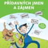 Pravopis přídavných jmen a zájmen - Image 2
