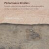 Pohansko u Břeclavi - Sociální a ekonomická stratifikace velkomoravského centra na základě archeozoologických analýz - Image 2
