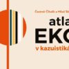 Atlas EKG v kazuistikách - Image 2