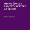 Odpovědnost zaměstnavatele za škodu - Image 2