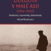 Křesťanská Golgota v Malé Asii (1914-1923) Svědectví, vzpomínky, dokumenty - Image 2
