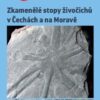Zkamenělé stopy živočichů v Čechách a na Moravě - Image 2