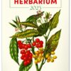 Kalendář 2025 nástěnný: Vintage plakáty - herbář, 33 × 46 cm - Image 2