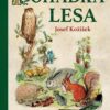 Pohádka lesa - Image 2