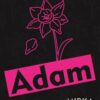 Adam - Image 2
