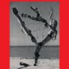 From Laughter to Forgetting A Sourcebook of Czech Avant-Garde Discourses - Image 2