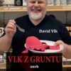 Vlk z gruntu aneb Podprda k snídani - Image 2