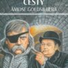 Podivuhodné cesty Ámose Goldsilbera - Image 2