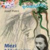 Yvetta Kornová - Mezi blázincem a životem - Image 2