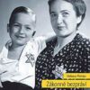 Zákonné bezpráví - Židé v Protektorátu Čechy a Morava - Image 2