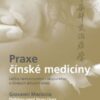 Praxe čínské medicíny - Léčba onemocnění pomocí akupunktury a čínských léčivých směsí - Image 2