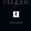 Cesta domů - Psychothriller - Image 2
