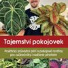 Tajemství pokojovek - Praktický průvodce péčí o pokojové rostliny pro začátečníky i nadšené pěstitele - Image 2