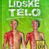 Lidské tělo - Zábavná encyklopedie - Čti, uč se a skládej (Dárkový box - kniha + model) - Image 2