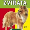 Zvířata - Image 2