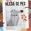 (Ne)Hledá se pes - Image 2