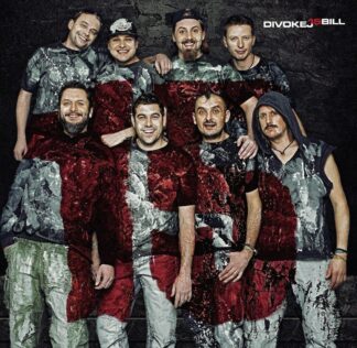 Divokej Bill 15 - LP