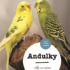 Andulky - Obrázek 2