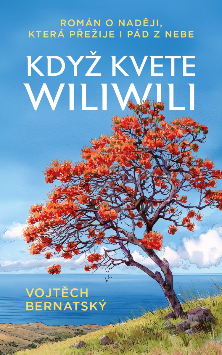 Když kvete wiliwili - Román o naději, která přežije i pád z nebe - Obrázek 2