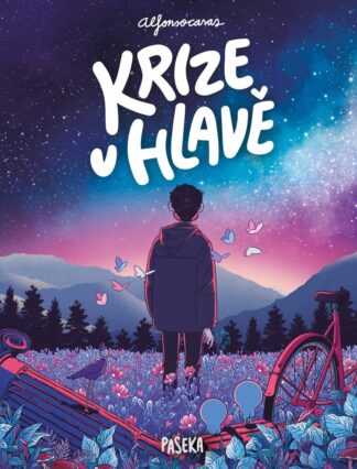 Krize v hlavě