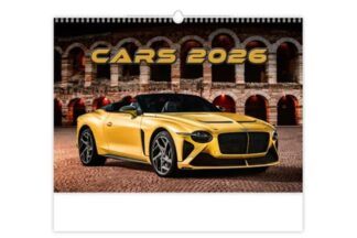 Kalendář nástěnný 2026 - Cars