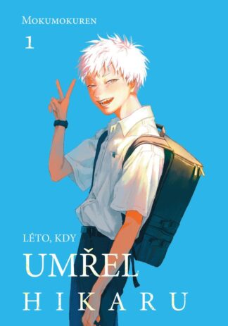 Léto, kdy umřel Hikaru 1