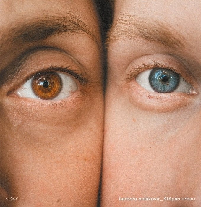 Sršeň - LP - Obrázek 2