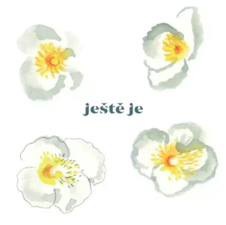 Vladimír Javorský - Ještě je - LP