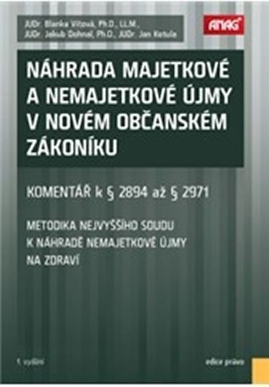 Náhrada majetkové a nemajetkové újmy v novém občanském zákoníku - Komentář k § 2894 až § 2971