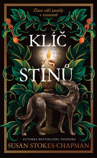 Klíč stínů