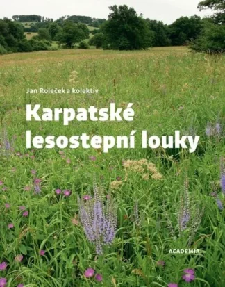 Karpatské lesostepní louky