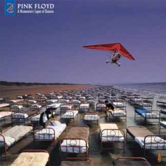 Pink Floyd - A Momentary Lapse Of Reason - 2 LP