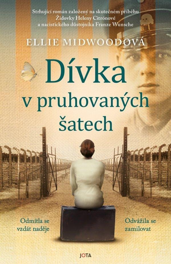 Dívka v pruhovaných šatech - Obrázek 2