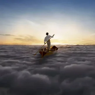 Pink Floyd - The Endless River - 2 LP
