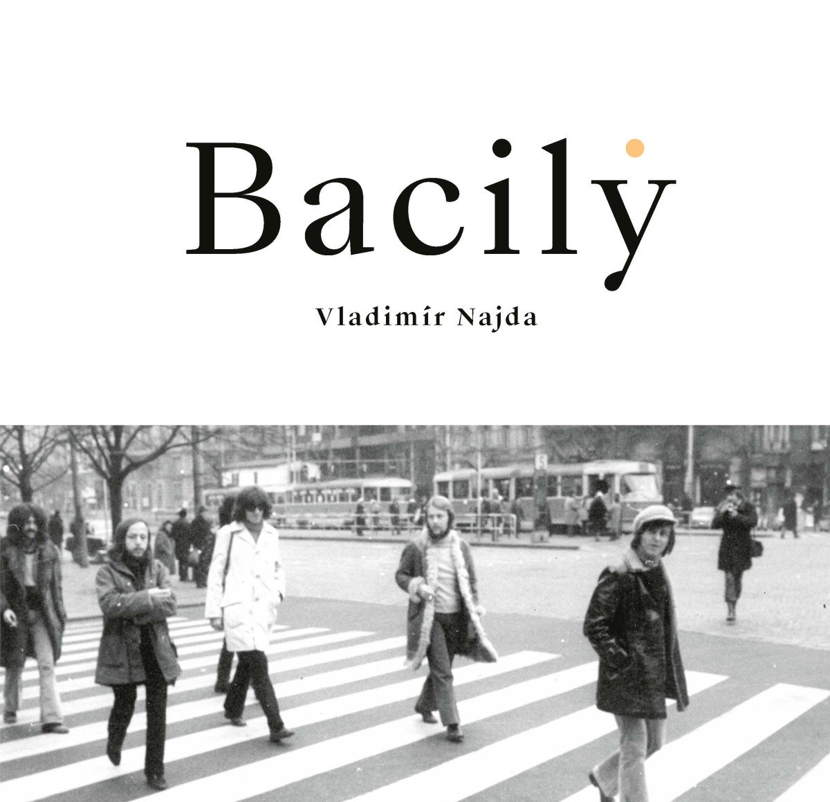 Bacily